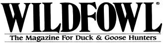 Wildfowl