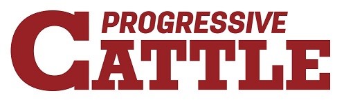 Progressive Cattle